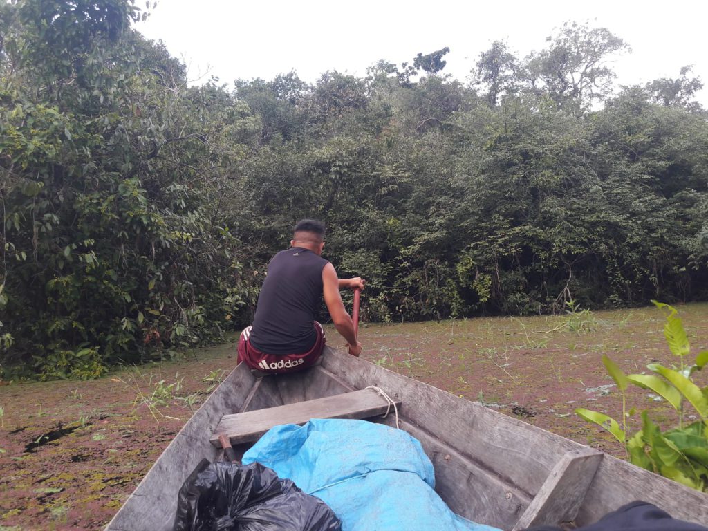 Amazonas Dschungel Regenwald verlaufen gefährlich Tour