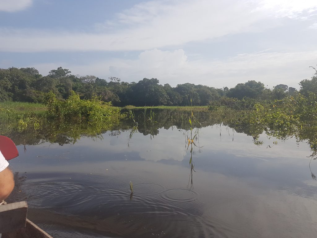 Amazonas Reise Erfahrung Blog Regenwald Tour Fluss Brasilien Manaus Dschungel Hängematte