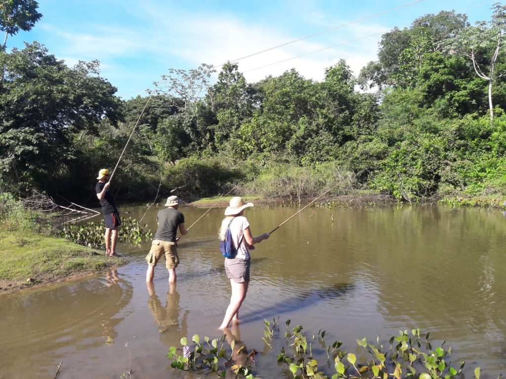 Pantanal reisen Brasilien Tour