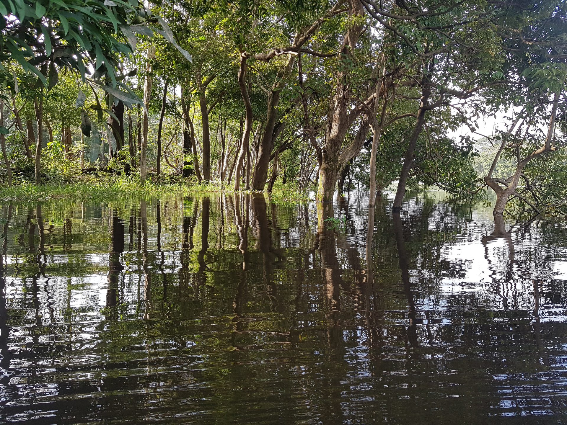 Amazonas Reise Erfahrung Blog Regenwald Tour Fluss Brasilien Manaus Dschungel Hängematte